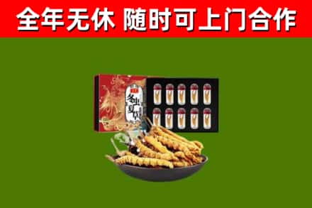 黄江镇回收冬虫夏草价格